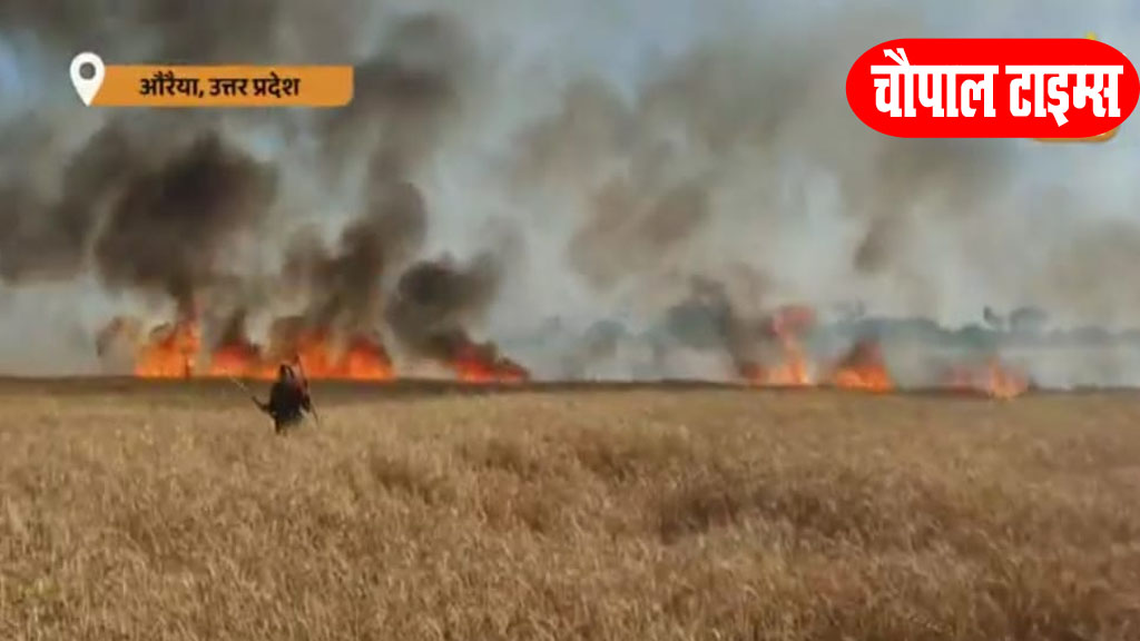 आग लगने से गेहू की 20 बीघा फसल जलकर हुई राख